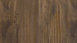 Century Fawn Pine