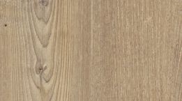 Acardian Soya Pine